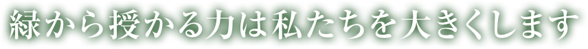 緑から授かる力は私たちを大きくします